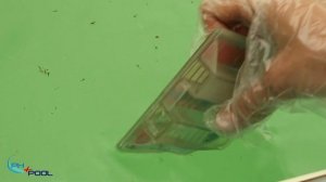 Очистка воды и химия для бассейнов