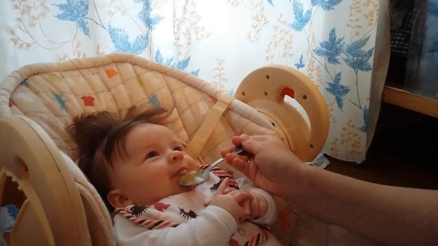 Первый прикорм в ускоренном темпе :D Кабачочек! смотреть онлайн