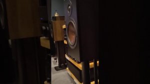 DALI OPTICON 2 MK2 | DRIVER BEHAVIOUR | FREYA RIDINGS - LOST WITHOUT YOU