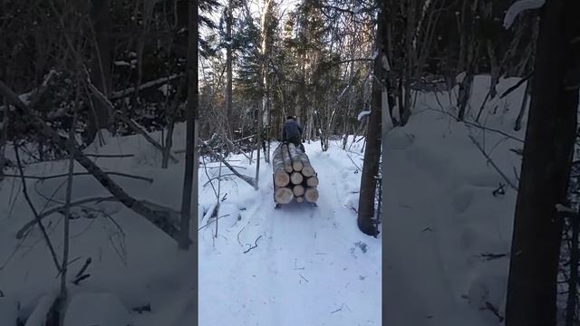 Skandic 1998 swt смотреть онлайн