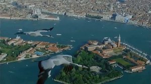 Владислав  Медяник  (Фомин) -- "Журавли"