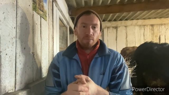 БУДЕМ БАТРАЧИТЬ БЕСПЛАТНО, ЧТОБЫ НАУЧИТЬСЯ смотреть онлайн