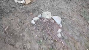 выход "экзот" из зимовки