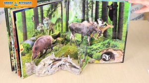 Живая книга леса, книжка-панорама (Азбукварик)