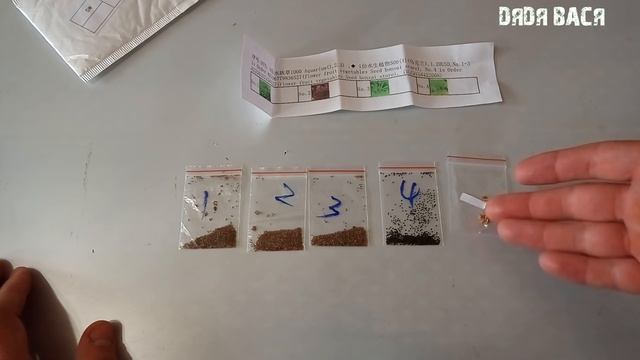 Семена аквариумных растений из Китая! Обзор семян почвопокровки с Алиэкспресс!