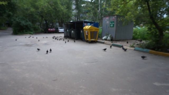 ДОЖДАЛИСЬ!!! ЖЕЛТЫЕ КОНТЕЙНЕРЫ В ГОРОДЕ! СДАЕМ ПЛАСТИК В ПЕРЕРАБОТКУ.