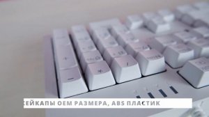 ОТЛИЧНАЯ БЮДЖЕТНАЯ БЕЛАЯ МЕХАНИКА ЗА 2800 РУБЛЕЙ С ALIEXPRESS - THUNDEROBOT KG 3104 Red