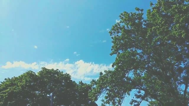 Неслучайно (Палитры) Стихи. Лирика. Философская поэзия смотреть онлайн