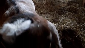 Весенние будни в своем хозяйстве???