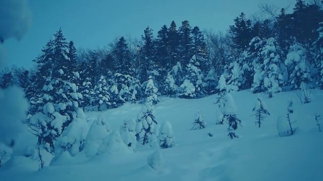Гора Голец. Партизанский район. Путешествия по Приморскому краю. смотреть онлайн