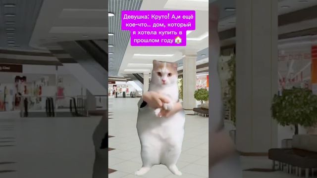 #Животные #Мем #Футбол смотреть онлайн