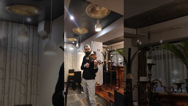 Бах Анданте соната для скрипки соло Bach andante sonata 2 for solo violin Kosta T bwv 1003 violonis смотреть онлайн