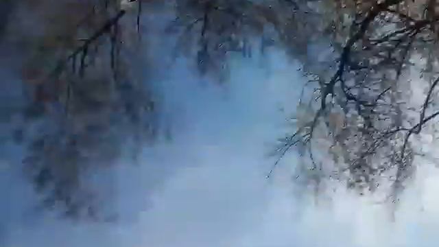 Топ!Как надо аккуратно относиться к деньгам смотреть онлайн