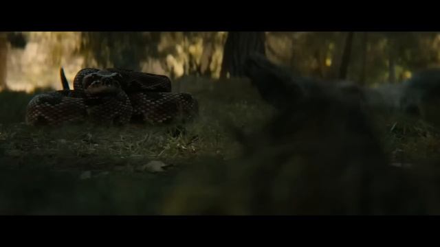 Хищник 5 Добыча - Пасхалки в фильме - Франшиза оживает? смотреть онлайн