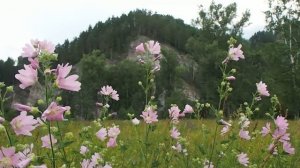 Природа Башкортостана