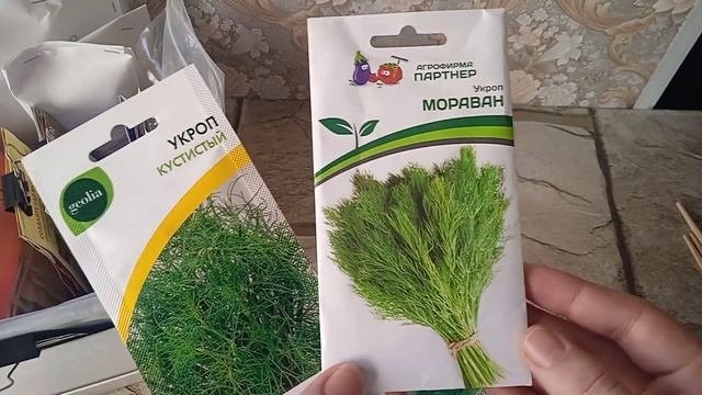 семена // что купила, посадила