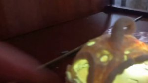 Фигурки из соленого теста!!!