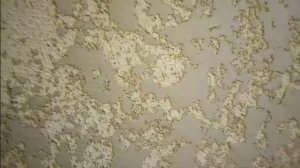 Декоративная Штукатурка из Обычной Шпаклевки .Своими Руками