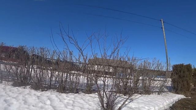 16 марта. Под солнцем. На беговой дорожке. Болячки. смотреть онлайн