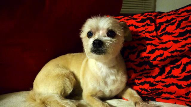 Сборник новых медленных песен с тв онлайн смотреть онлайн