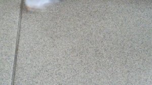 стандарт испытания