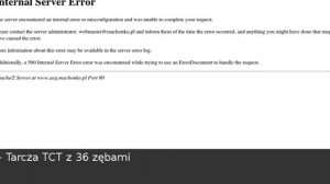 PILARKA STOŁOWA TARCZOWA AEG TS 250 K