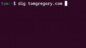Why the Internet Needs Millions of DNS Servers