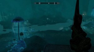 #Skyrim Одеяние Мирака #обзор