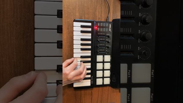 Играю известную мелодию на пианино. Одинокий пастух( оригинал ). смотреть онлайн