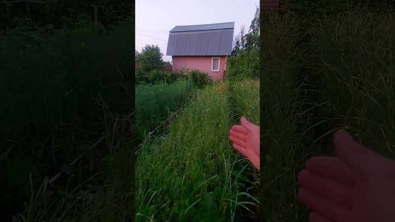 В два раза больше чеснока