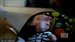 питбули и малыши