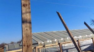 Большая теплица из дерева от А до Я