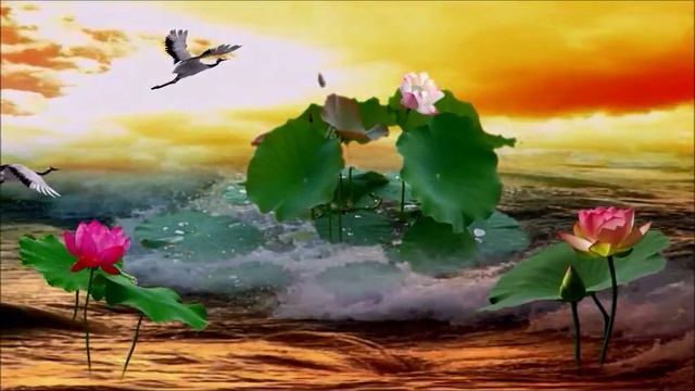 Наташе(783nata) в день рождения!(монтаж Е.Астахова) смотреть онлайн