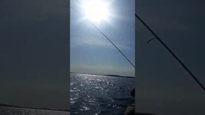 РЫБАЛКА на Беломорканале.