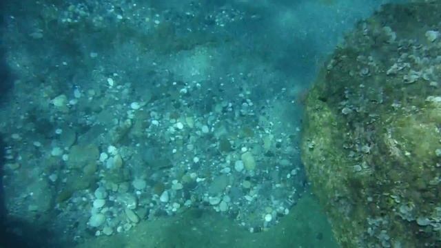 Рыбки Средиземного моря, района Махмутлар. смотреть онлайн