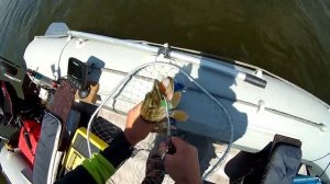 Ловля спиннингом с лодки | Spinning fishing from a boat