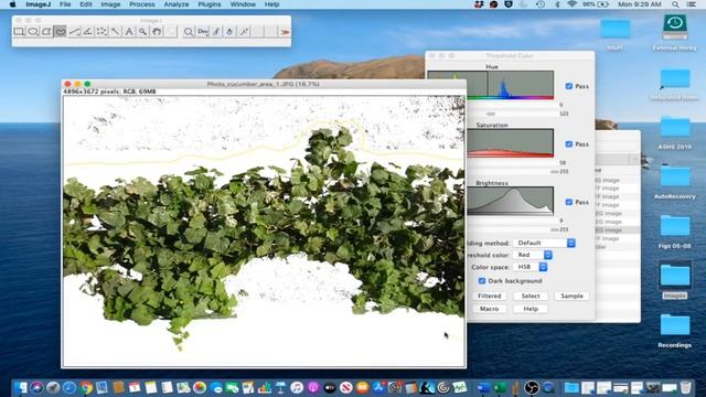 ImageJ Tutorial 1 - Measure Leaf Disease Area & Lesion Counts