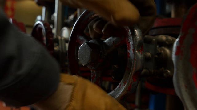 LMR Naturals by IFF: Lavender France смотреть онлайн