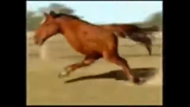 Смеятся нельзя/ прикол