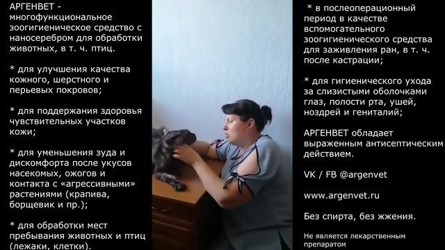 Опыт использования зоогигиенического средства АргенВет с наносеребром