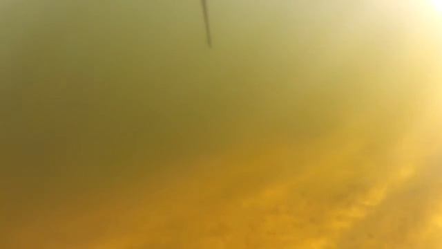 Рыба Западной Сибири смотреть онлайн