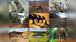 Здоровье человека и окружающая среда