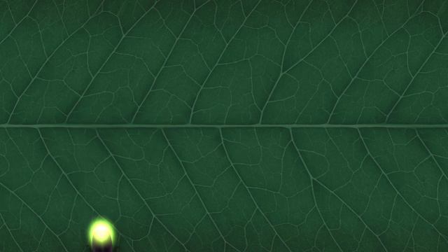 CAT GAMES || CATCH A FIREFLY | VIDEOS FOR CATS TO WATCH смотреть онлайн