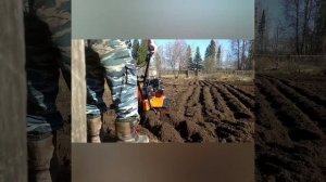 тестируем мотокультиватор Carver 650 в поле