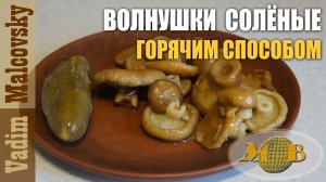 Волнушки солёные горячим способом или как засолить волнушки. Мальковский Вадим