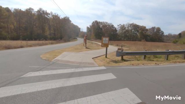 Saturday ride on Hase Trigo delta recumbent trike git to be nice to a lot of Dogs смотреть онлайн