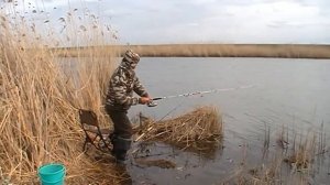 НА РЫБАЛКЕ. #Рыбалка в заливе на Маныче.
