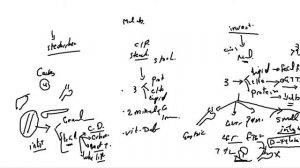 GIT : malabsorption 5th year internal medicine