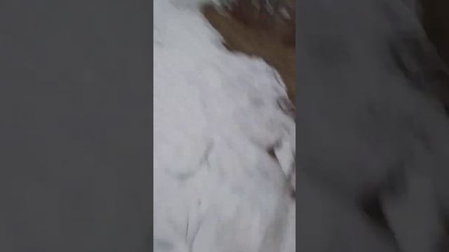 покатушки на Мопеде Альфа смотреть онлайн