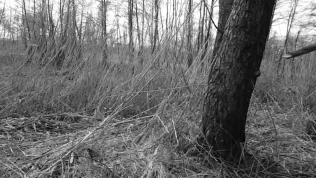 МУЖИКИ ТОГДА И СЕЙЧАС смотреть онлайн